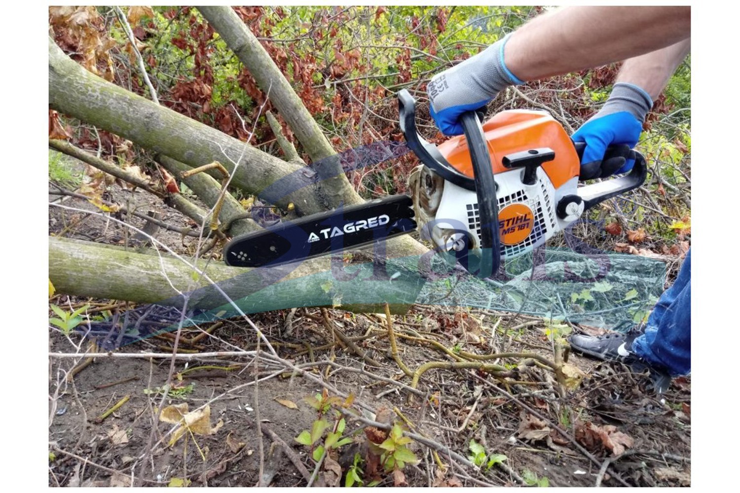 ランページ Шина До Бензо/електропили 18